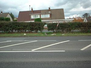 North Road could be crossed here, then head through the gap in the hedge to Rosegreen Crescent